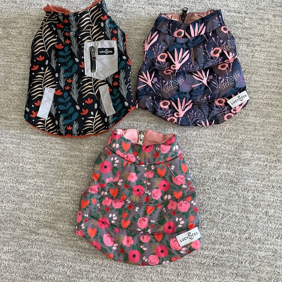 Lucy & Co Other - Lucy & Co Reversible Dog Vest Bundle